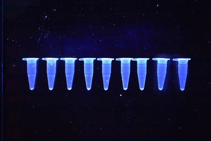 white lights on black background