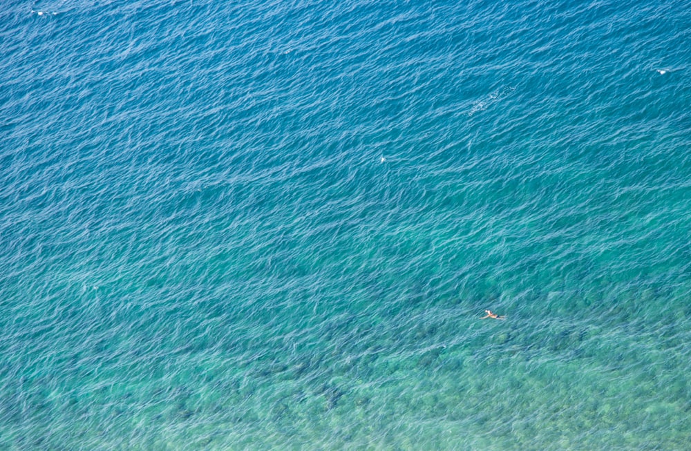 aerial view of boat on sea during daytime