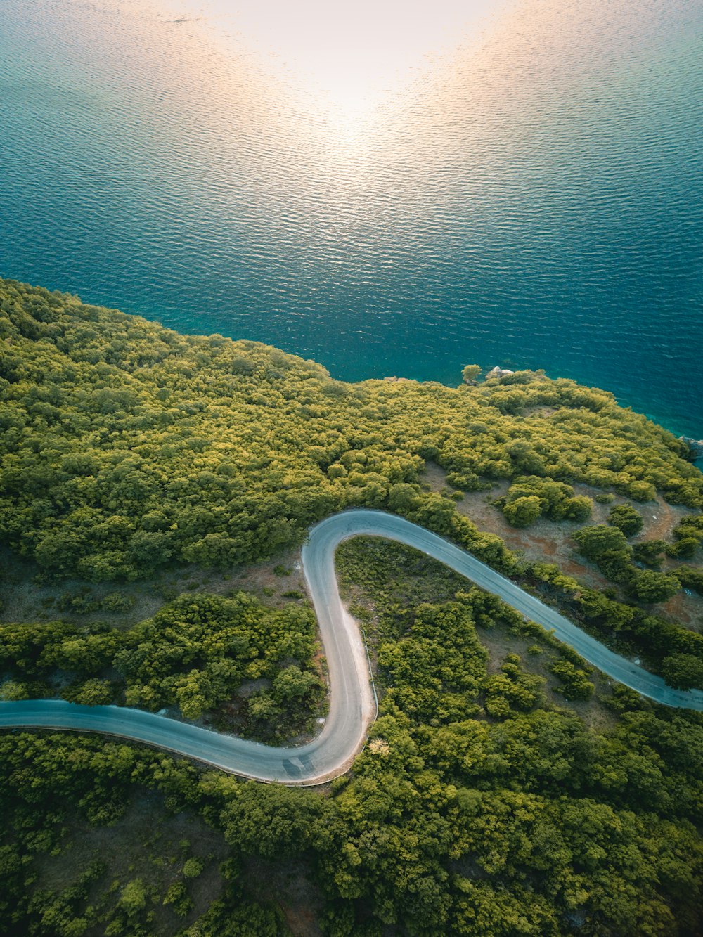 aerial view of green trees and river