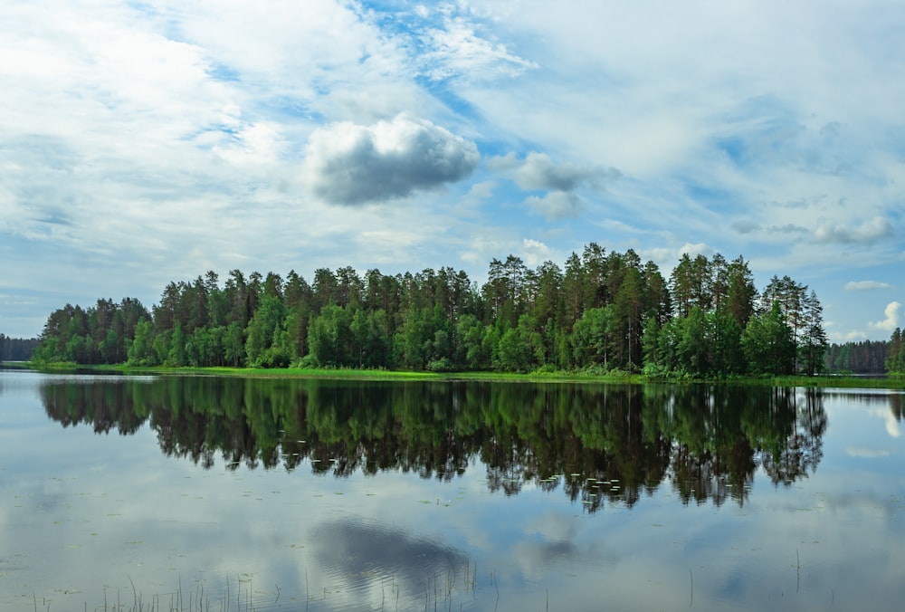 green trees beside body of water under cloudy sky during daytime