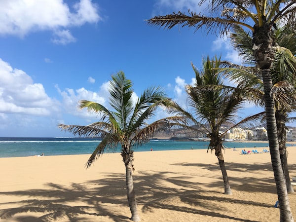 Las Canteras Gran Canaria