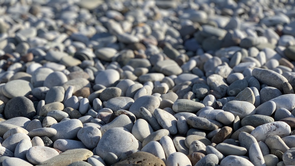 gray and white stones on water