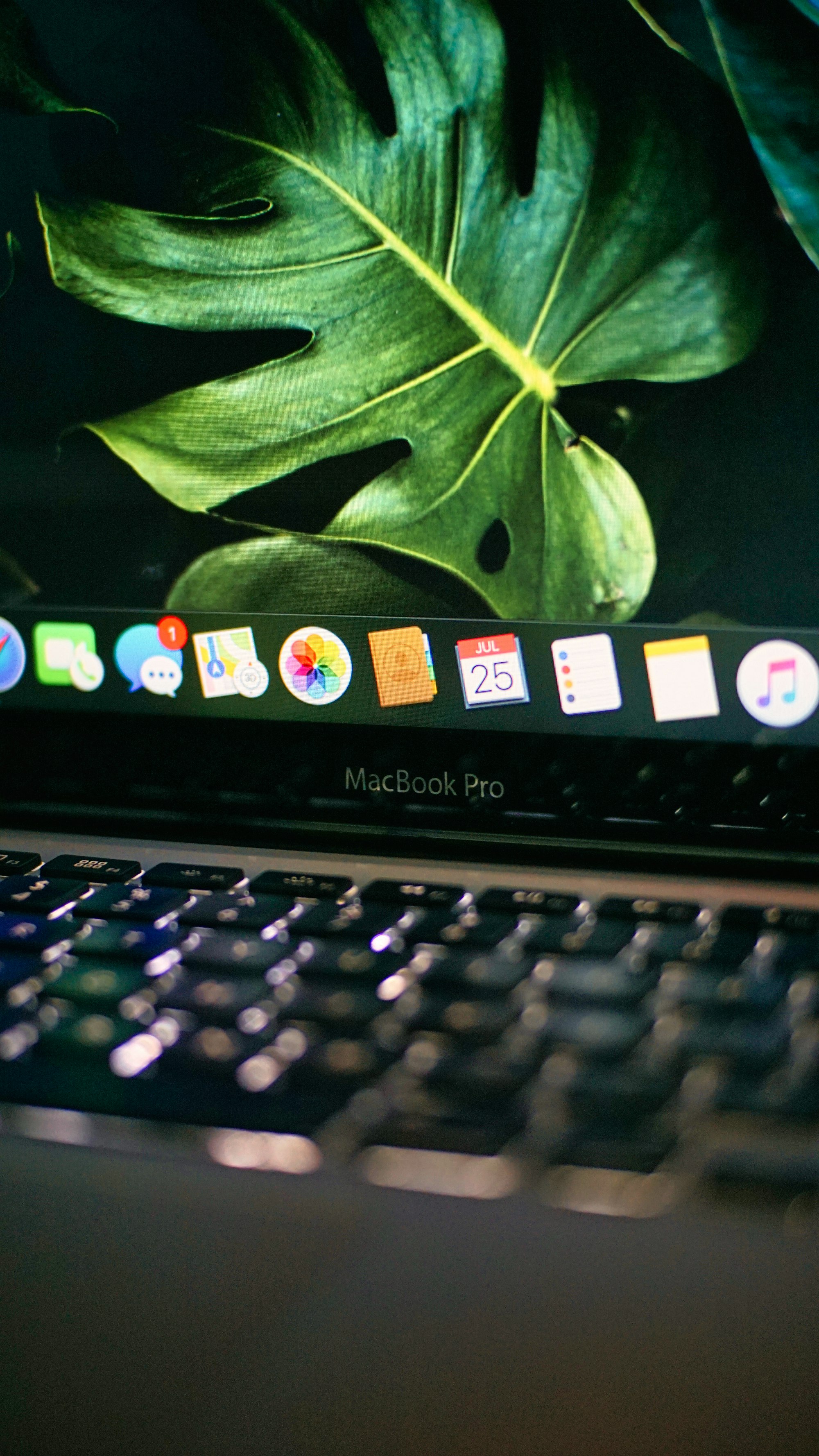 ecosystem apple macBook