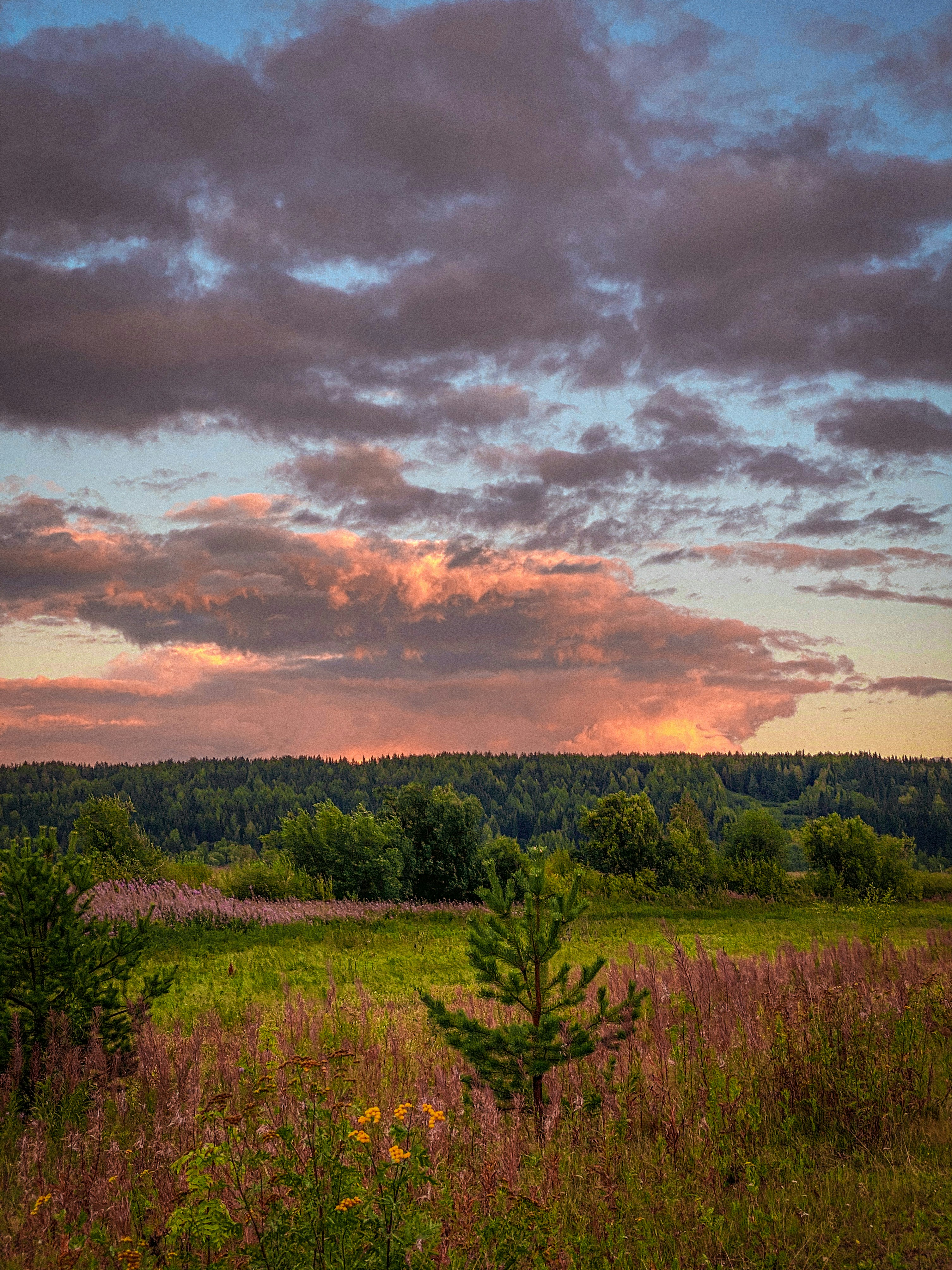 Photo by shklyaevmax