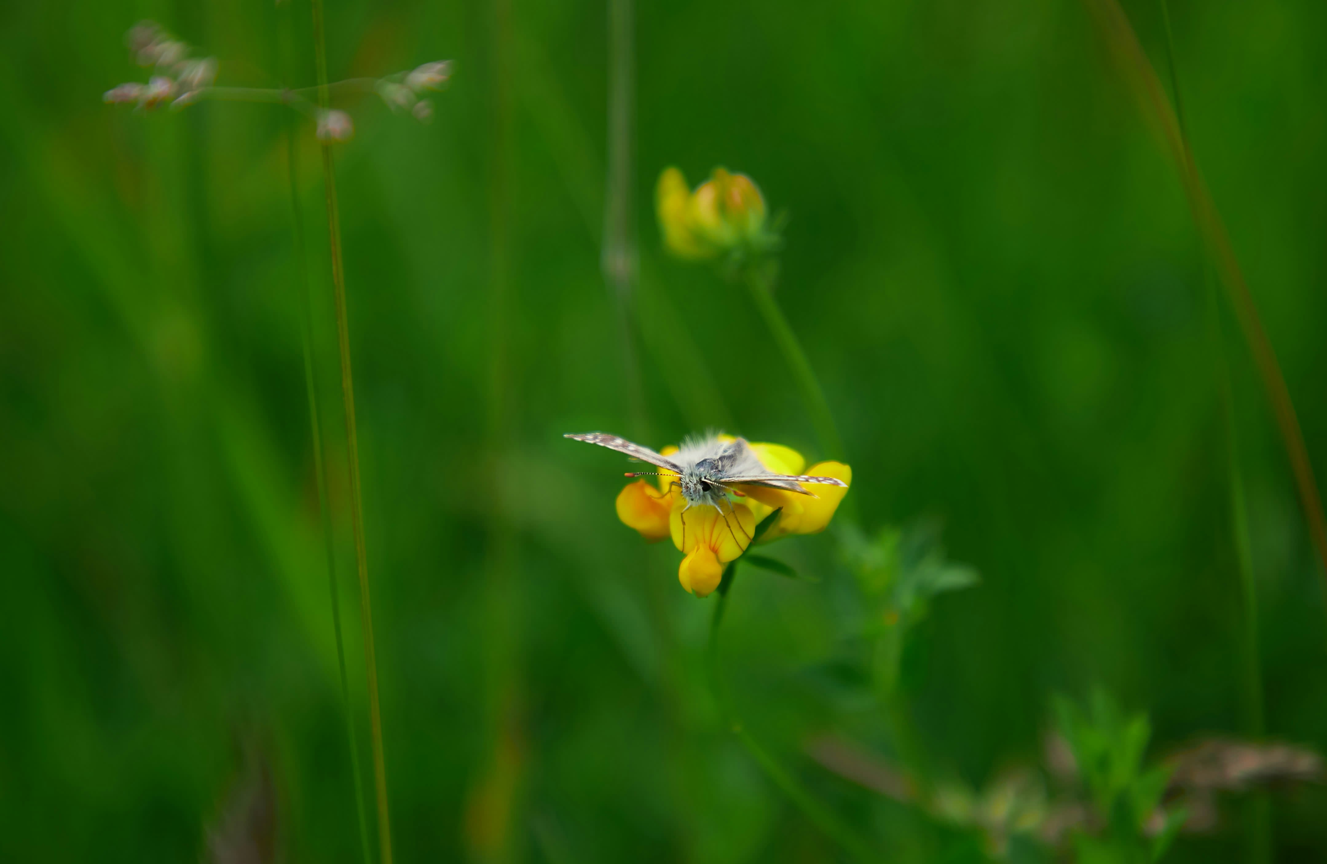 Photo by godisopensource