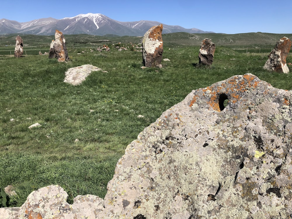 gray rock formation on green grass field during daytime