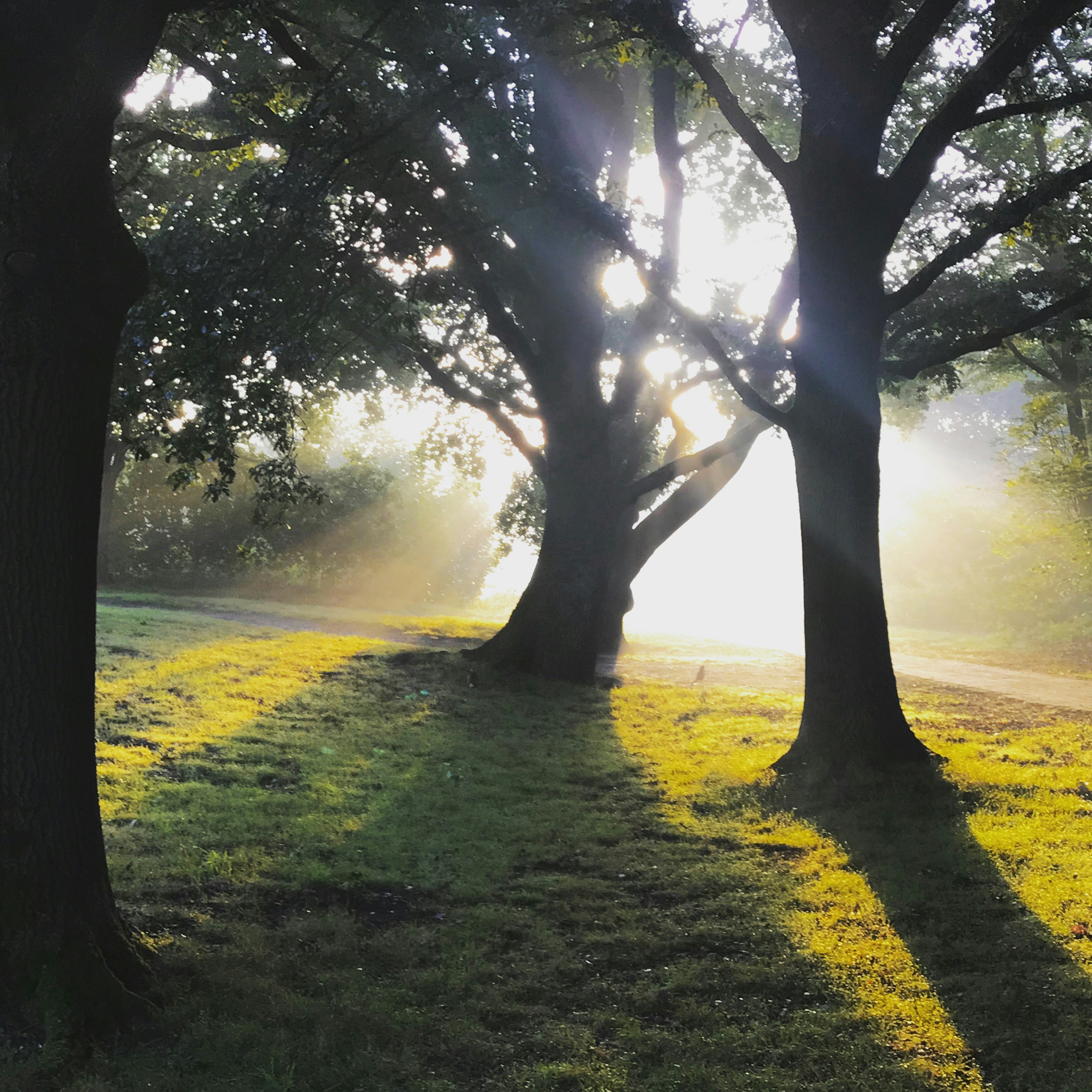 Photo by perryagerbeek