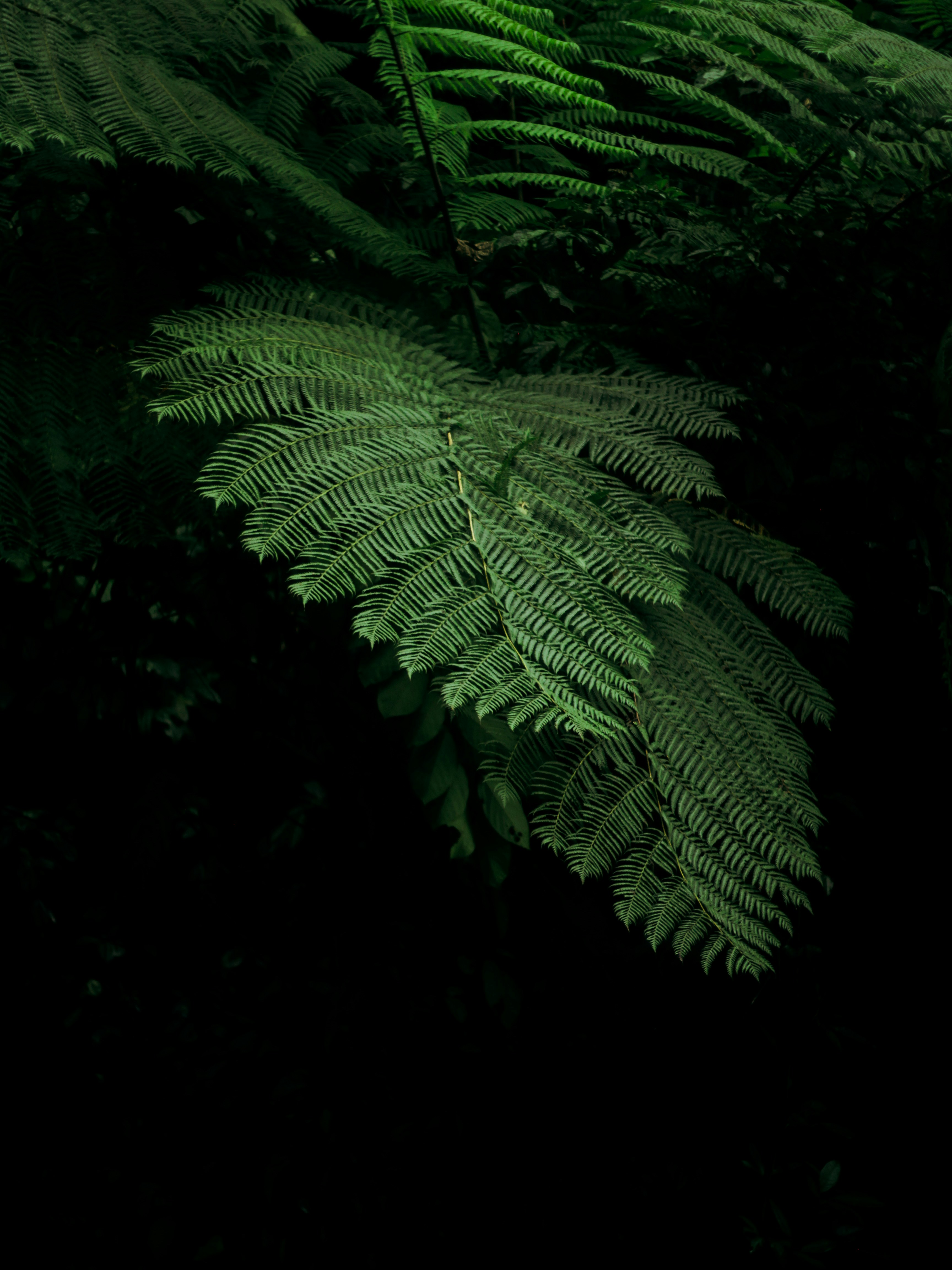 Photo by faaidhulhaadi