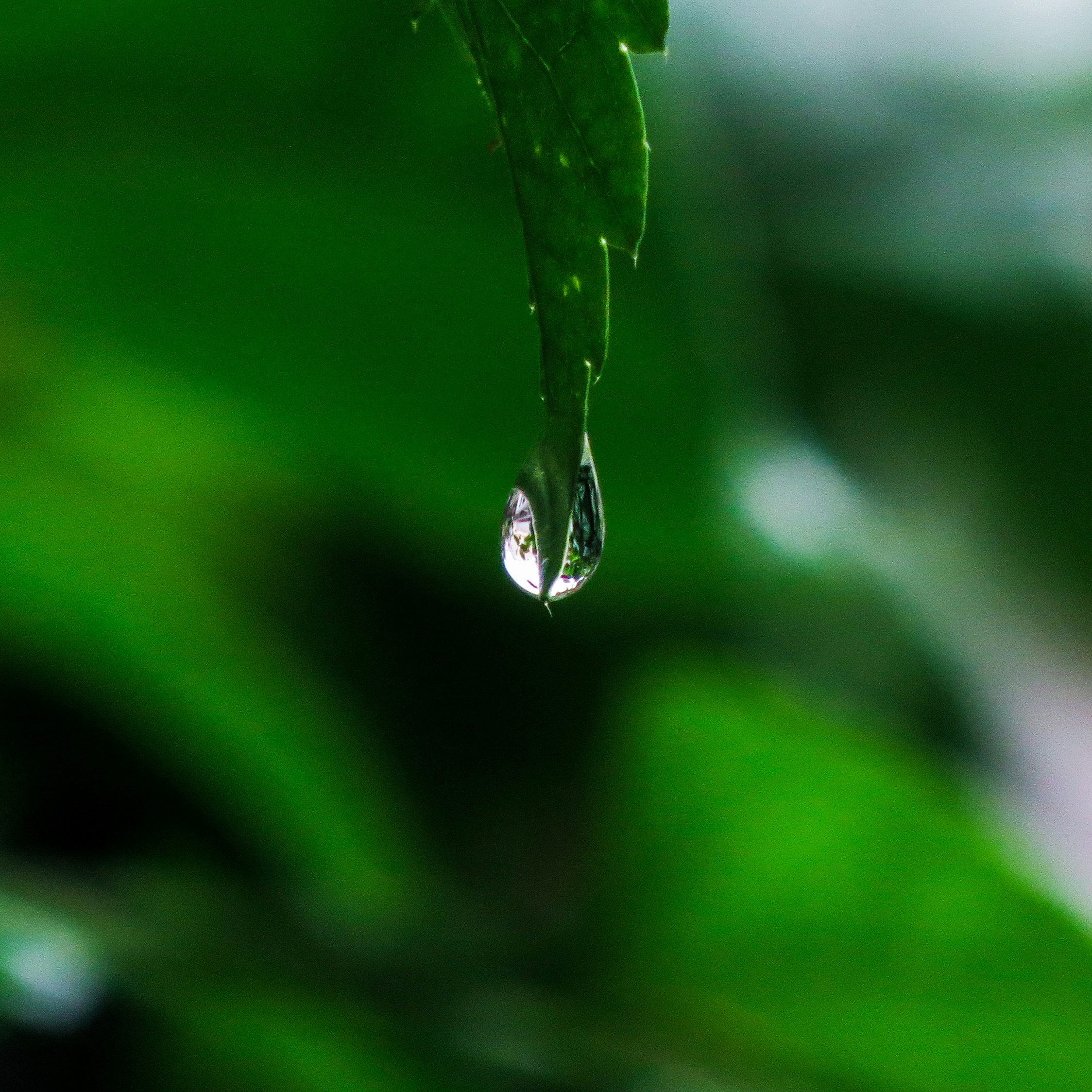 Photo by anandramavath_786