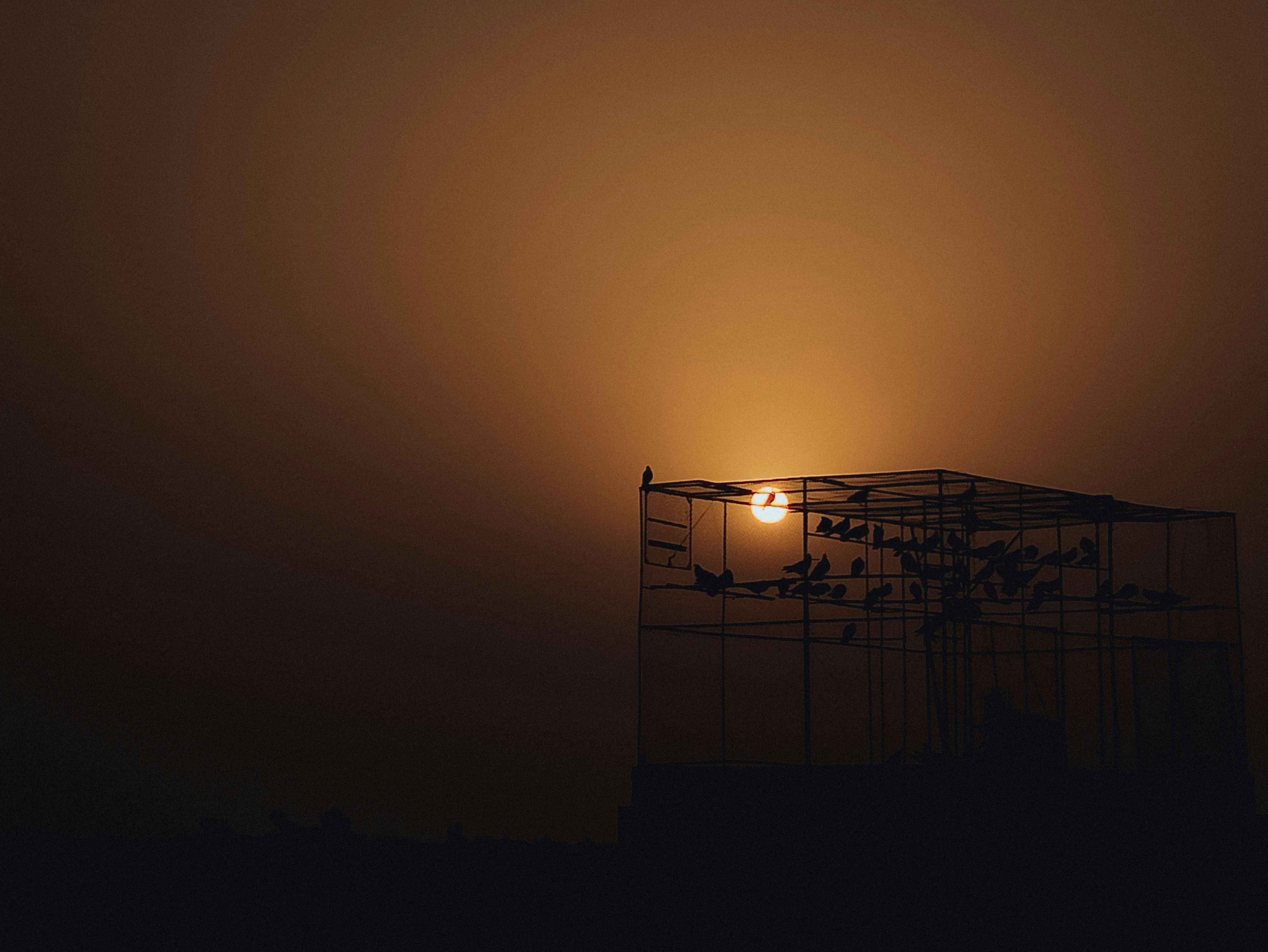 Photo by farhannns33