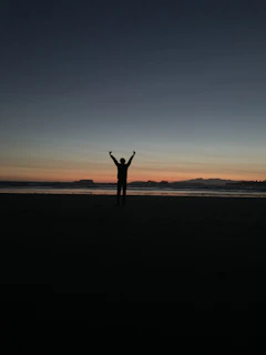 A sunset silhouette of a person holding a Vertex detector on a beach, ready for discovery.