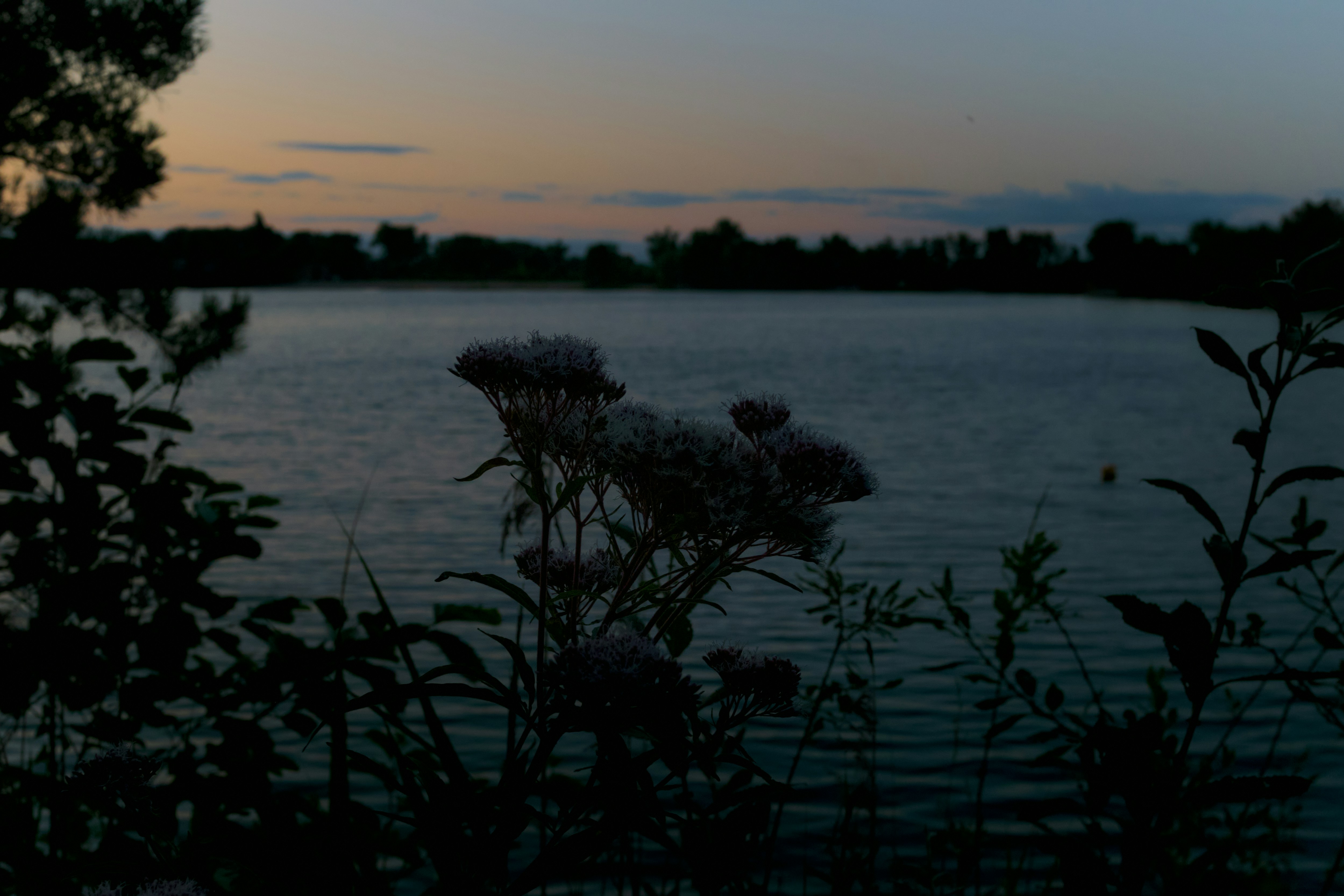 Photo by kevinmueller