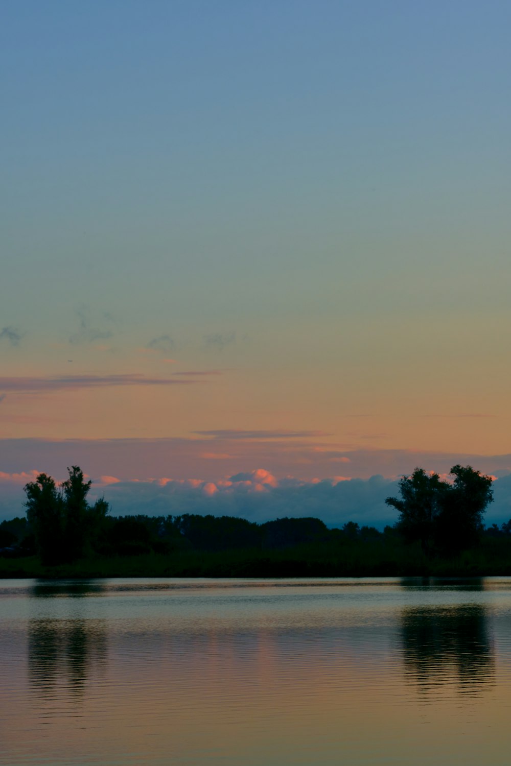 green trees beside body of water during sunset