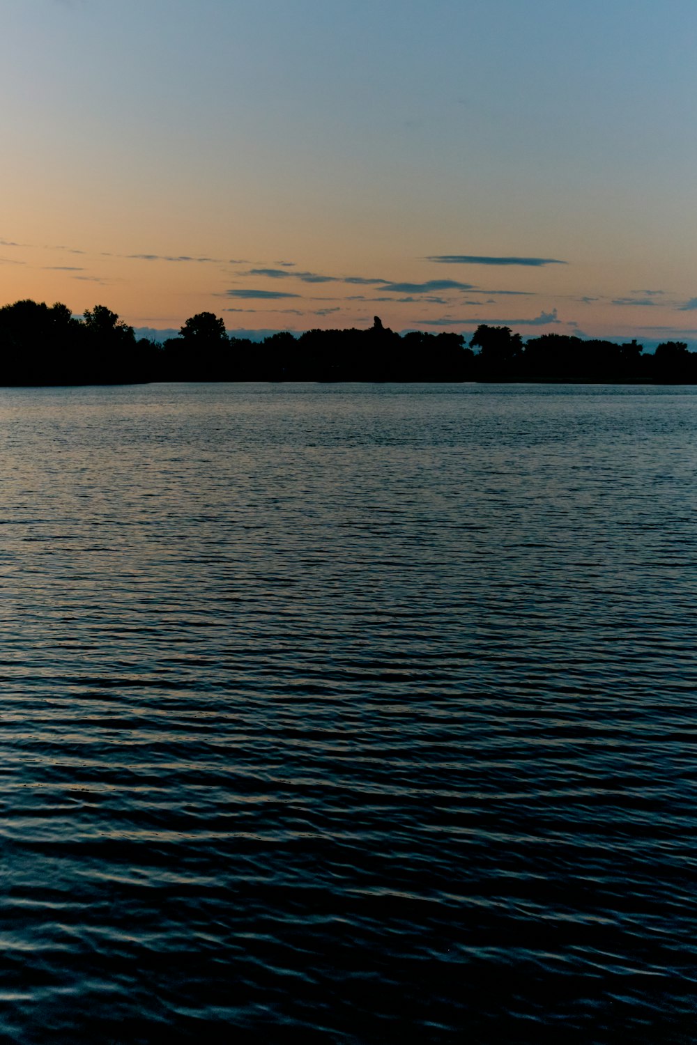 silhouette of trees near body of water during sunset