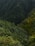 A vast expanse of dense, green forest covers rolling hills. The vegetation is lush, with varying shades of green indicating a rich diversity of trees and plants. The landscape appears untouched and natural, evoking a sense of tranquility and seclusion.