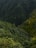 A vast expanse of dense, green forest covers rolling hills. The vegetation is lush, with varying shades of green indicating a rich diversity of trees and plants. The landscape appears untouched and natural, evoking a sense of tranquility and seclusion.