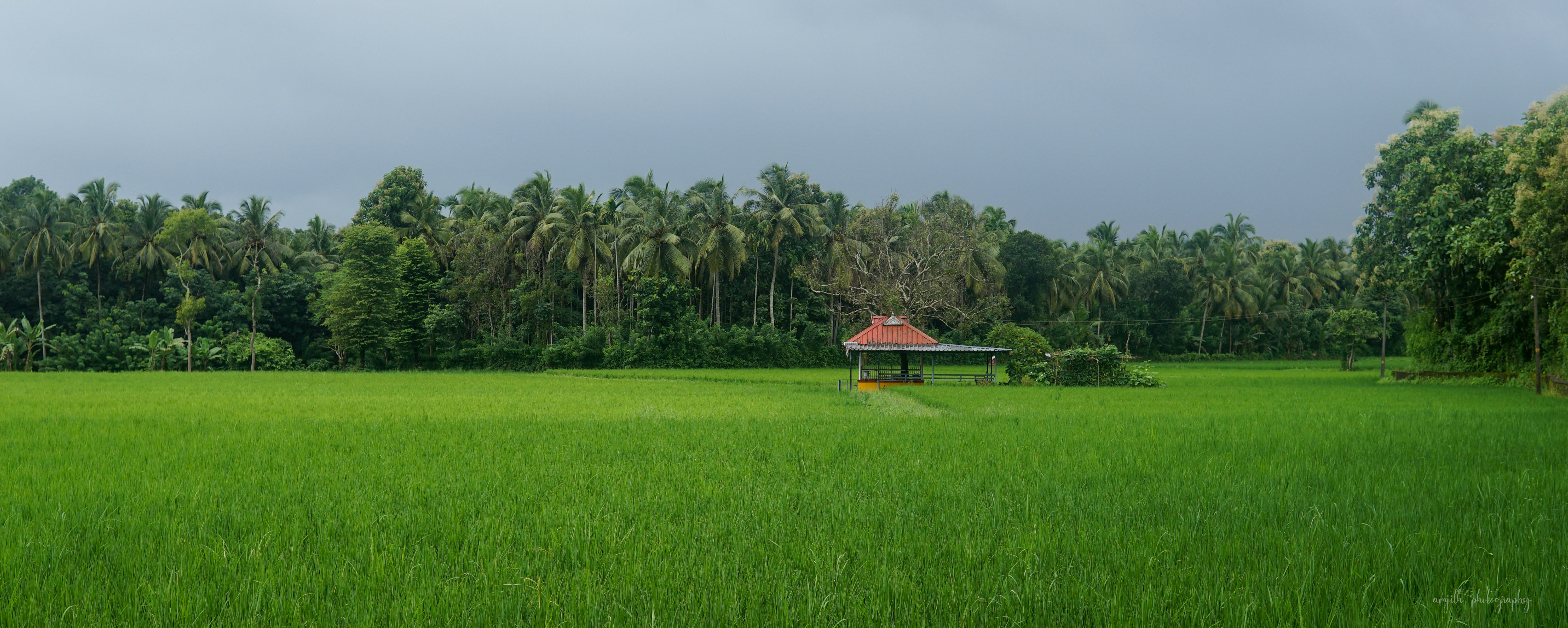 Braunes Holzhaus auf grünem Rasenfeld tagsüber