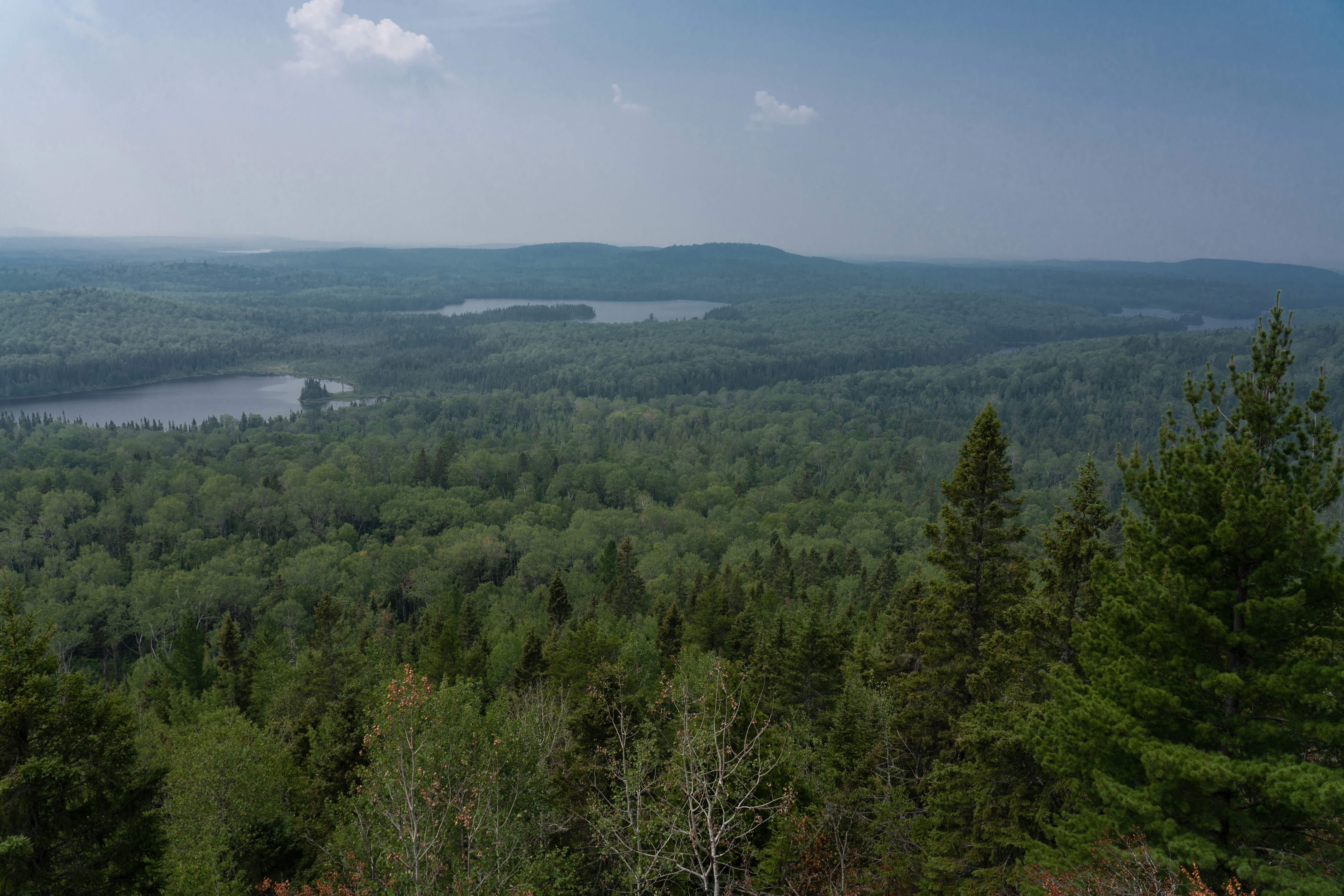 Photo by erikringsmuth