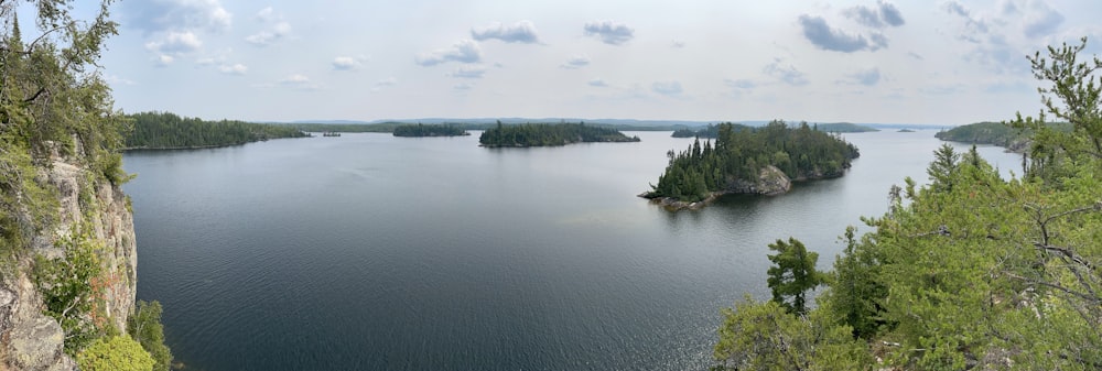 green trees beside body of water under white sky during daytime