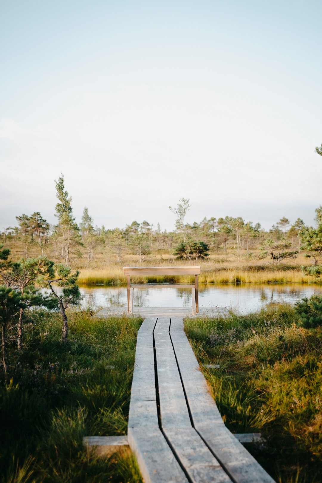 brown wooden dock on lake during daytime