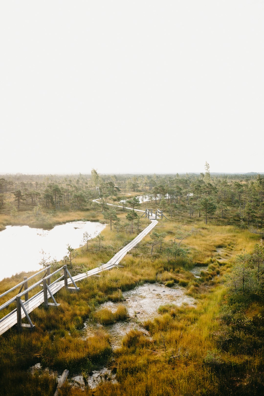 brown wooden bridge over river during daytime