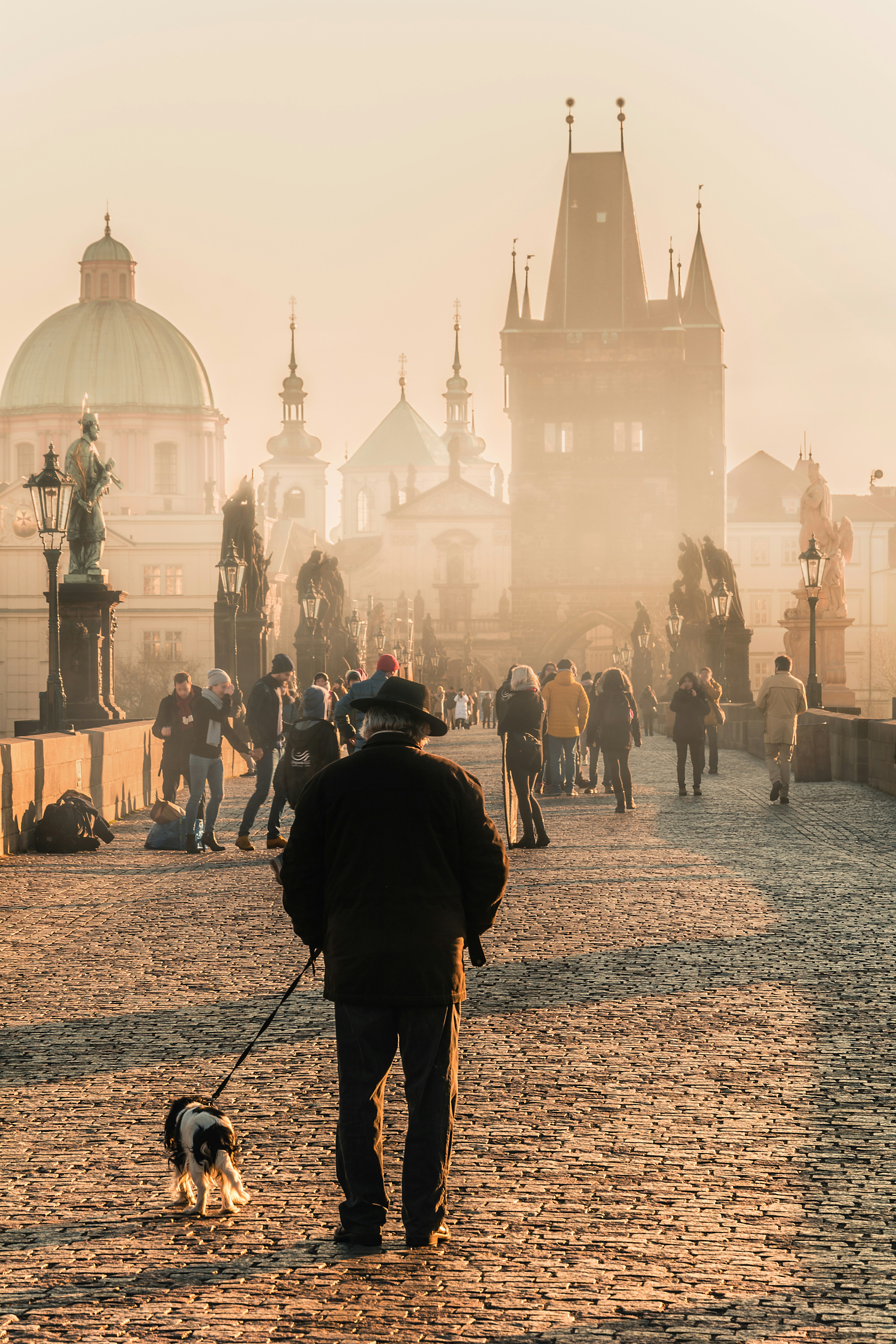 people walking on street near building during daytime