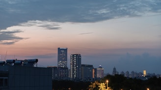 Evening city skyline with illuminated buildings and streets.