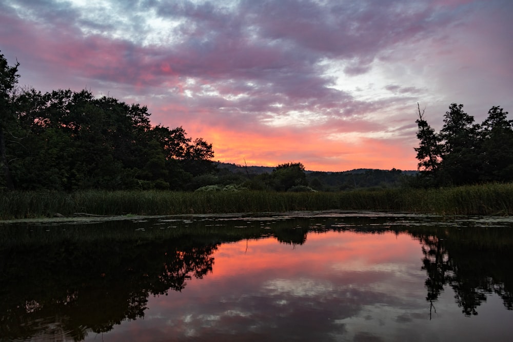 green trees beside body of water during sunset