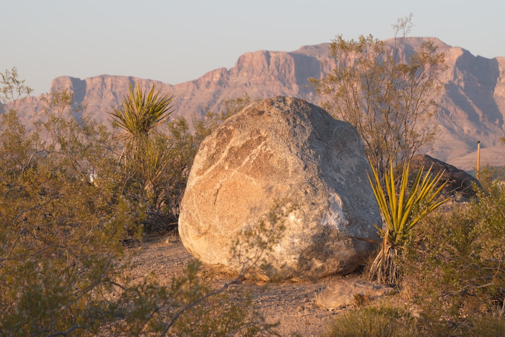 brown rock formation near green grass during daytime