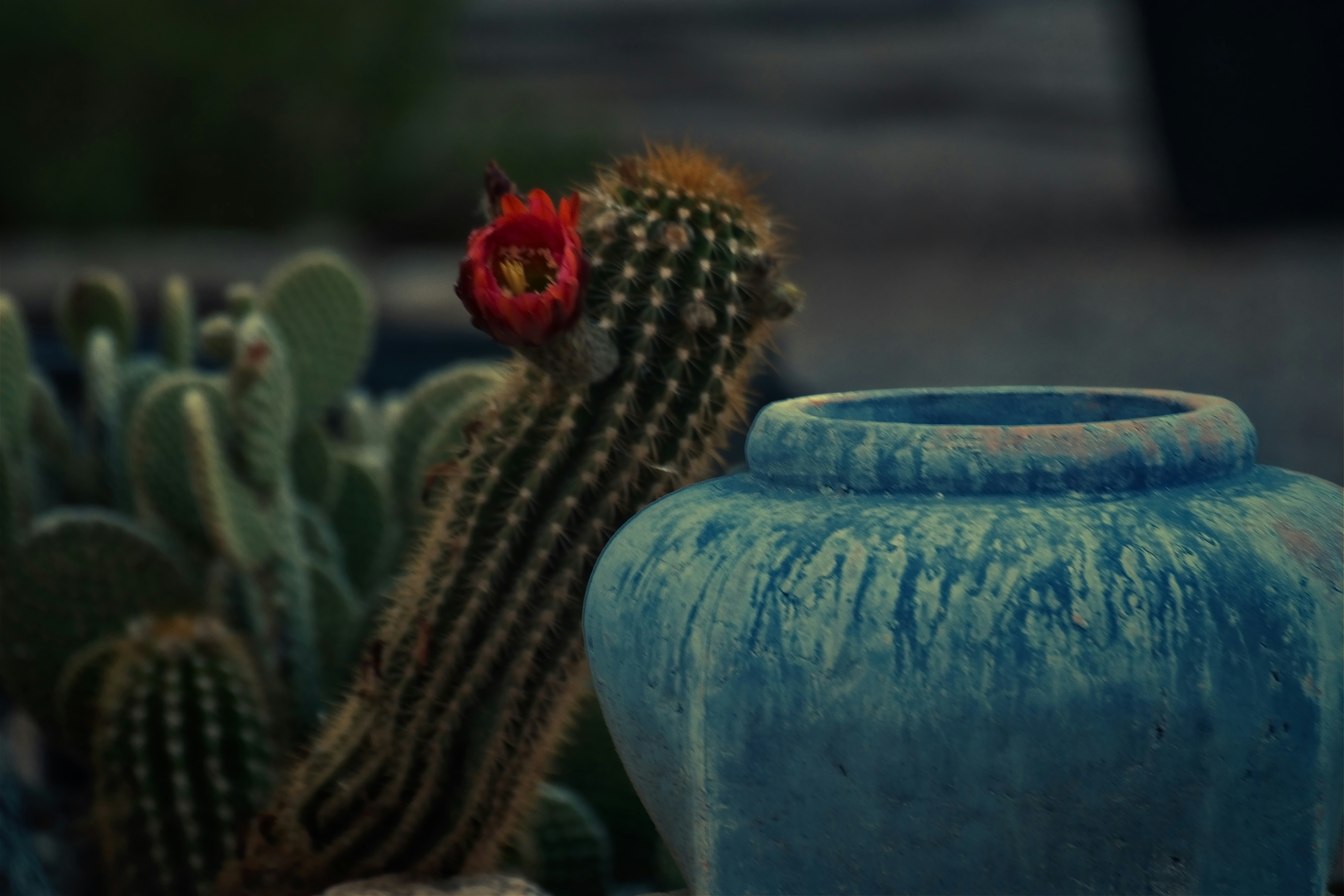 blue and brown ceramic vase