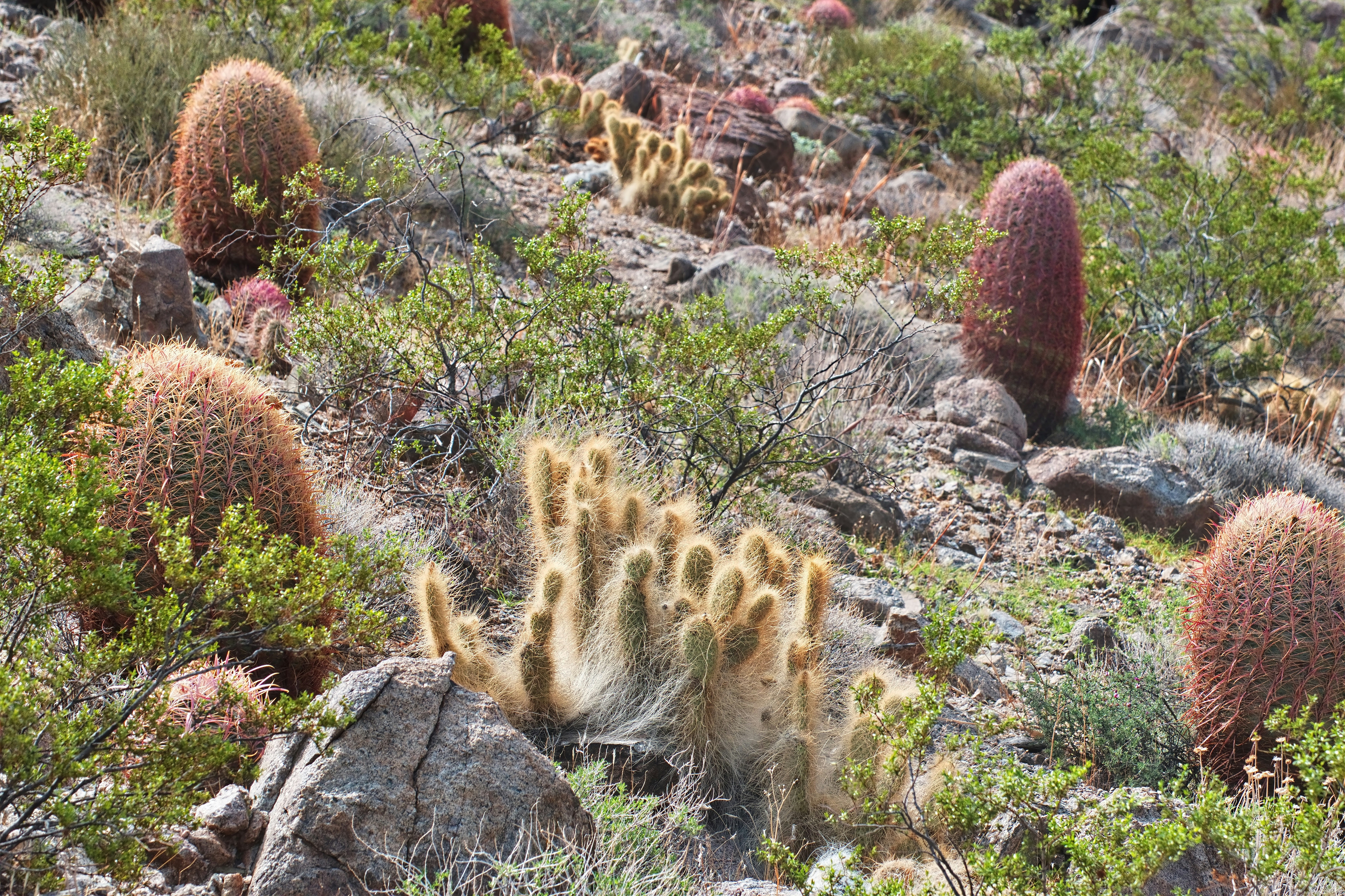 Photo by michael_yantis