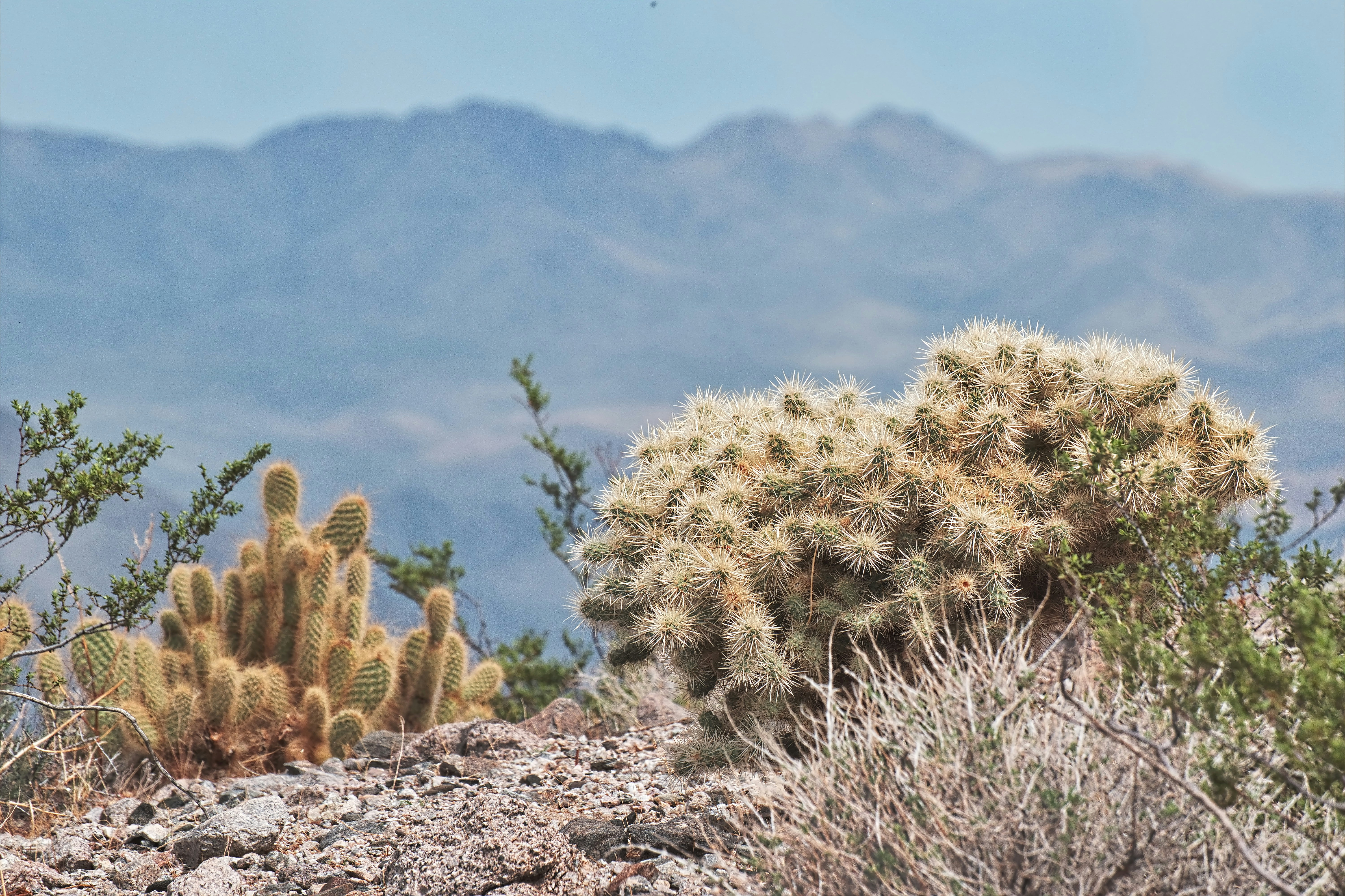 Photo by michael_yantis