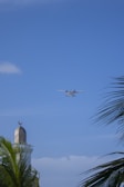 A small white airplane is flying in a clear blue sky. Below, the top of a minaret with a crescent moon symbol is partially obscured by green palm leaves.