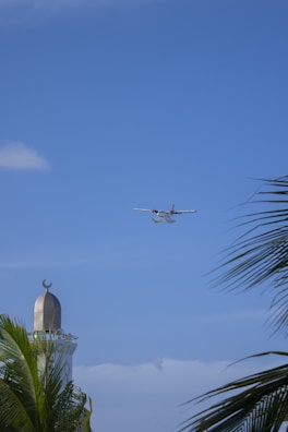 A small white airplane is flying in a clear blue sky. Below, the top of a minaret with a crescent moon symbol is partially obscured by green palm leaves.