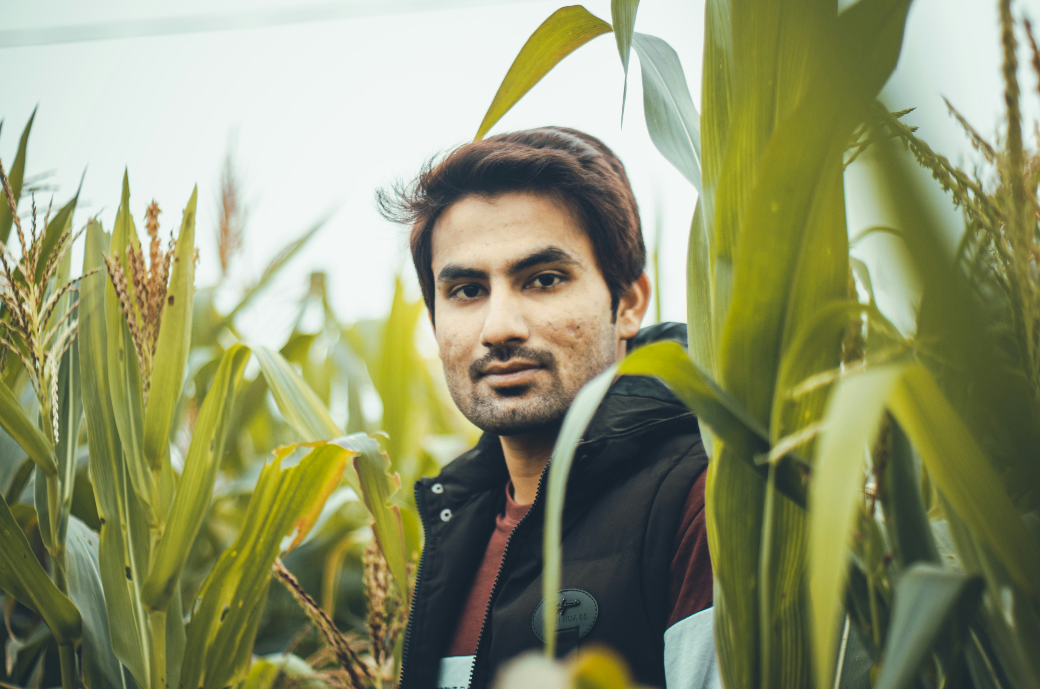 A guy in winter clothing standing in a wheat field.