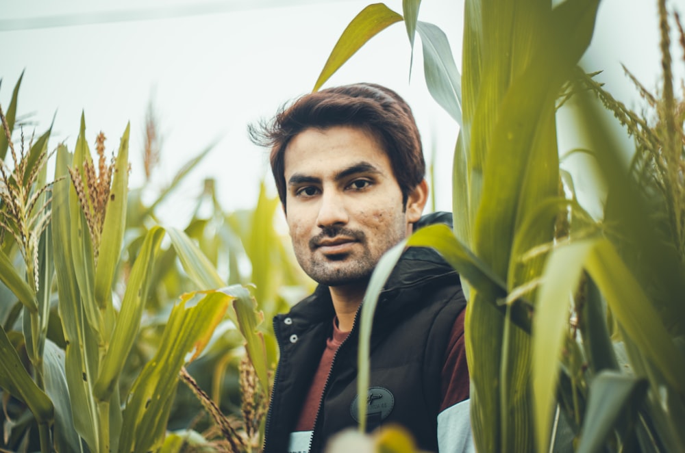 man in black jacket standing near corn field during daytime