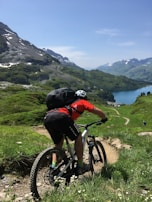 A cyclist speeding down a mountain trail surrounded by lush greenery.