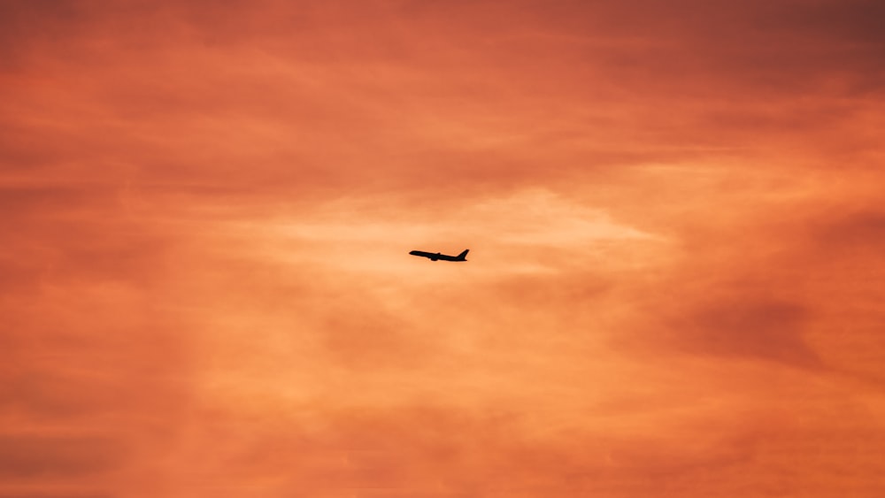 airplane flying in the sky