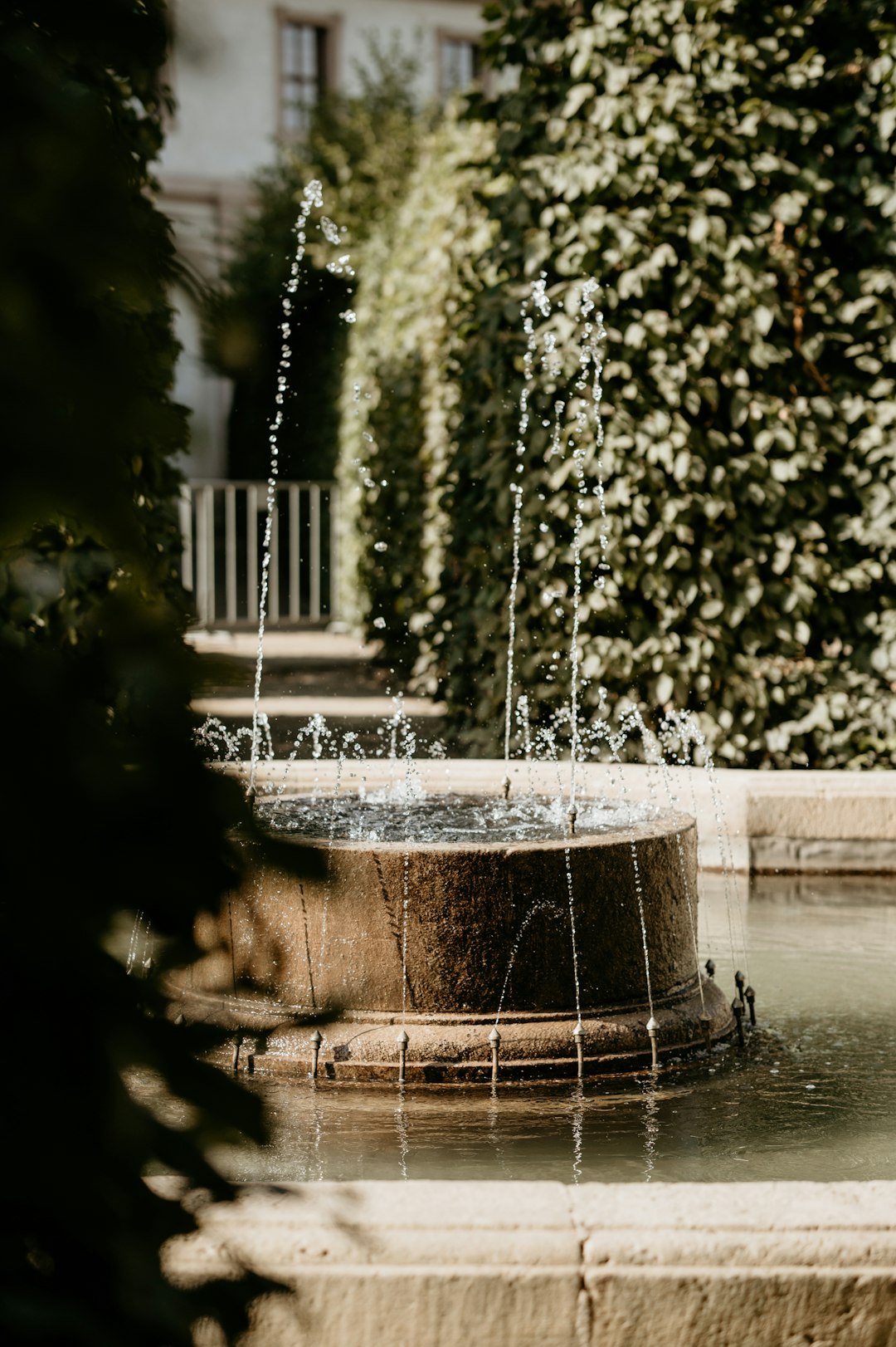 water fountain in the middle of the forest