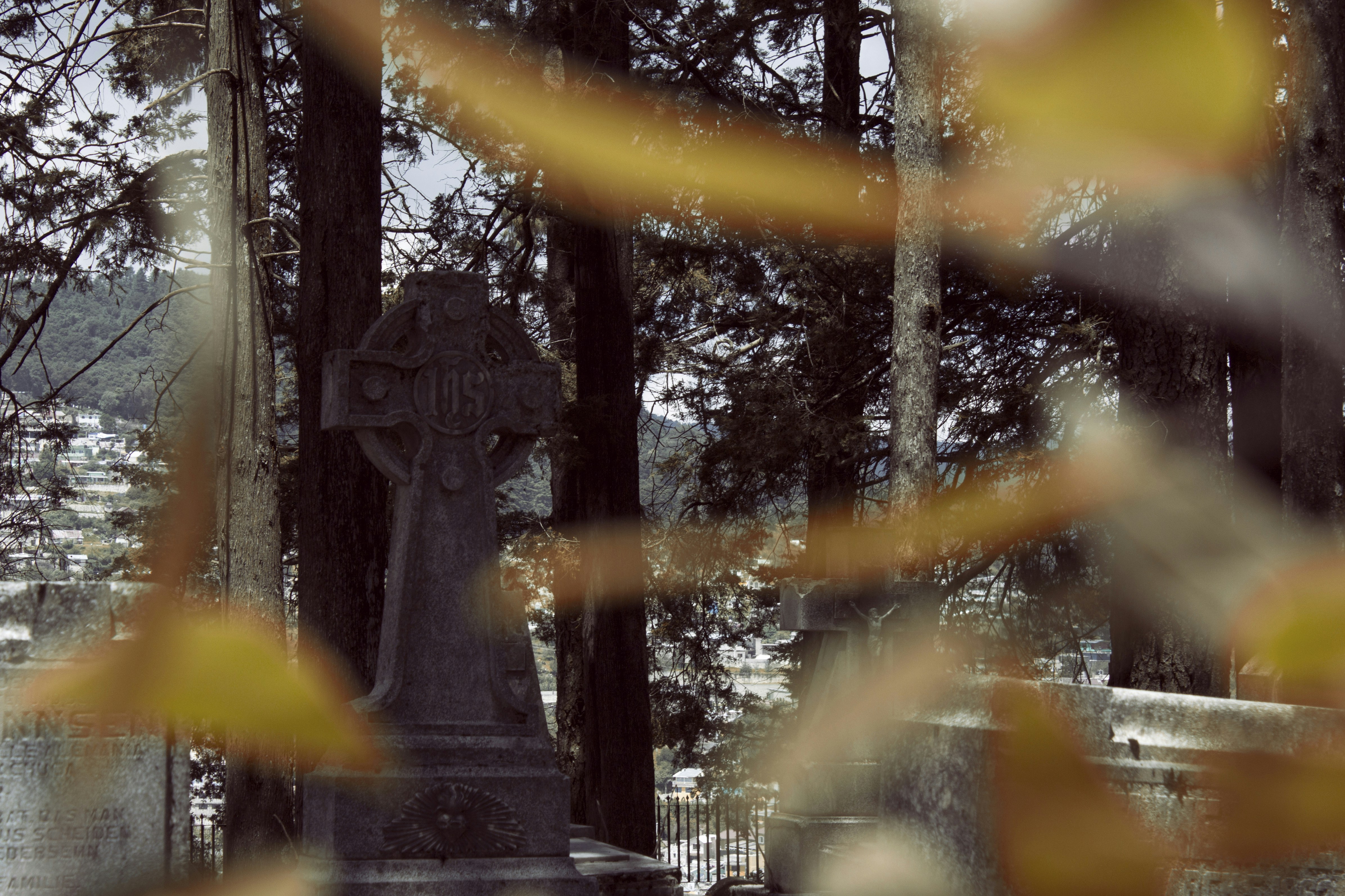 Photo by itzelglezlara