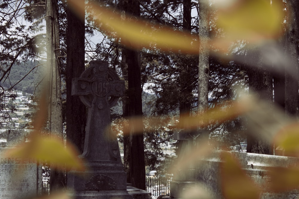 black metal fence near trees during daytime