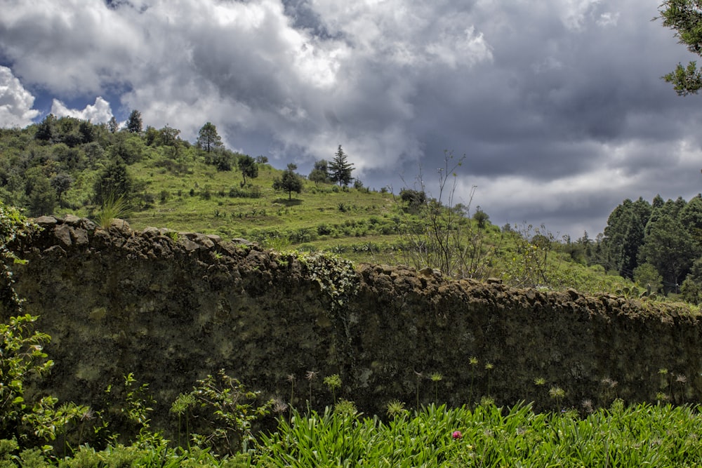 green grass field under cloudy sky during daytime