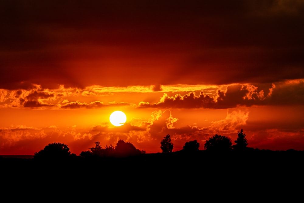 Silueta de árboles durante la puesta del sol