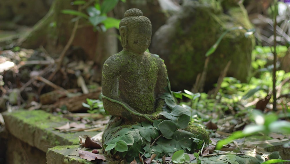 gray concrete buddha statue on green grass during daytime