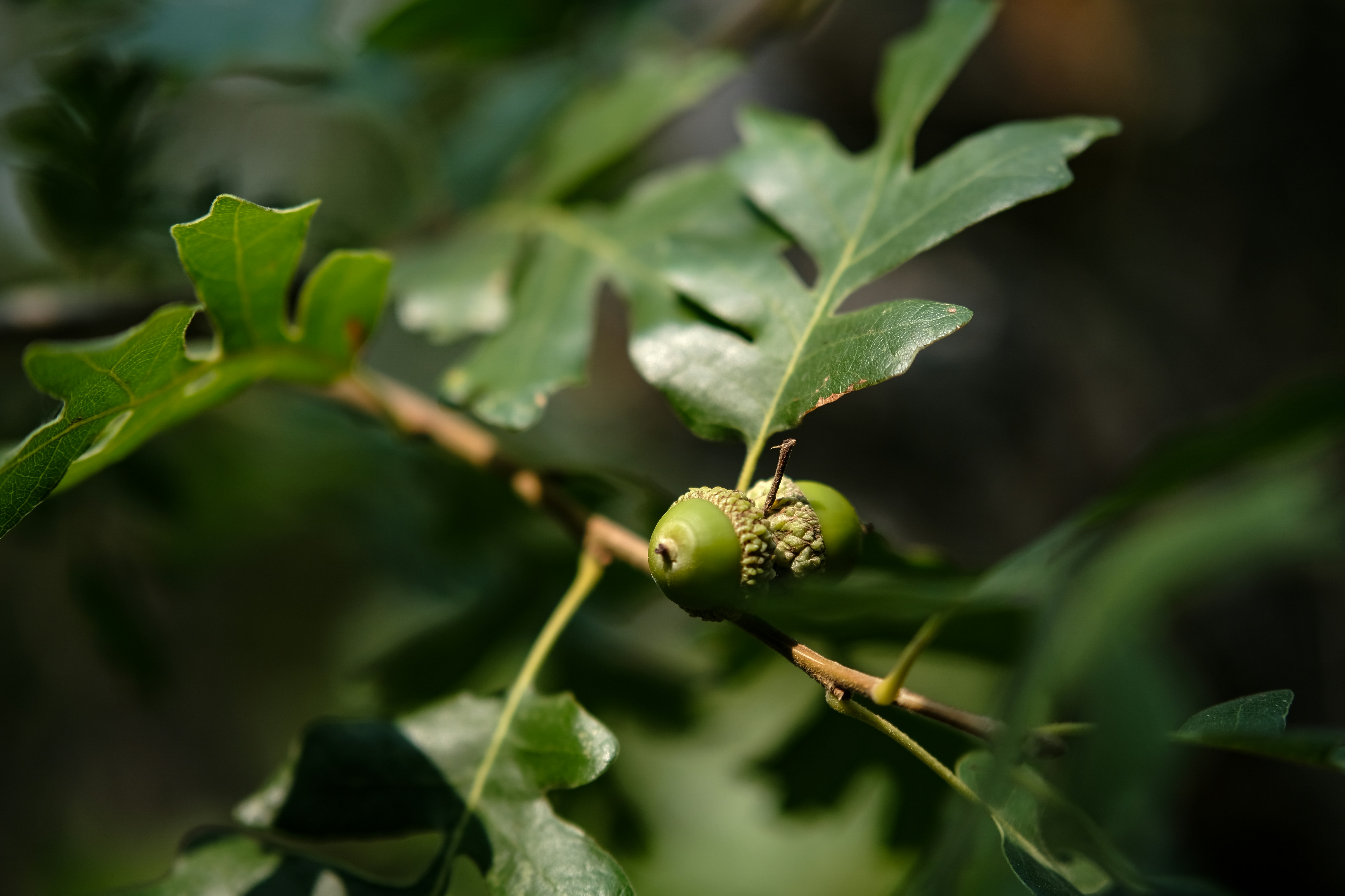 Photo by version2beta