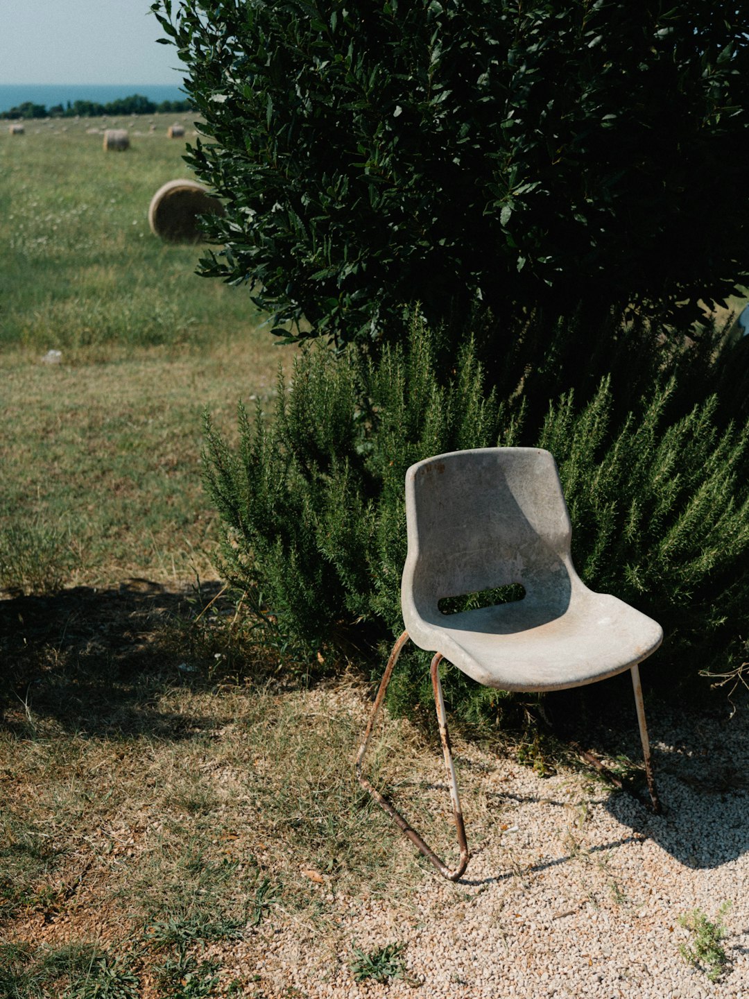 white and gray chair on green grass field
