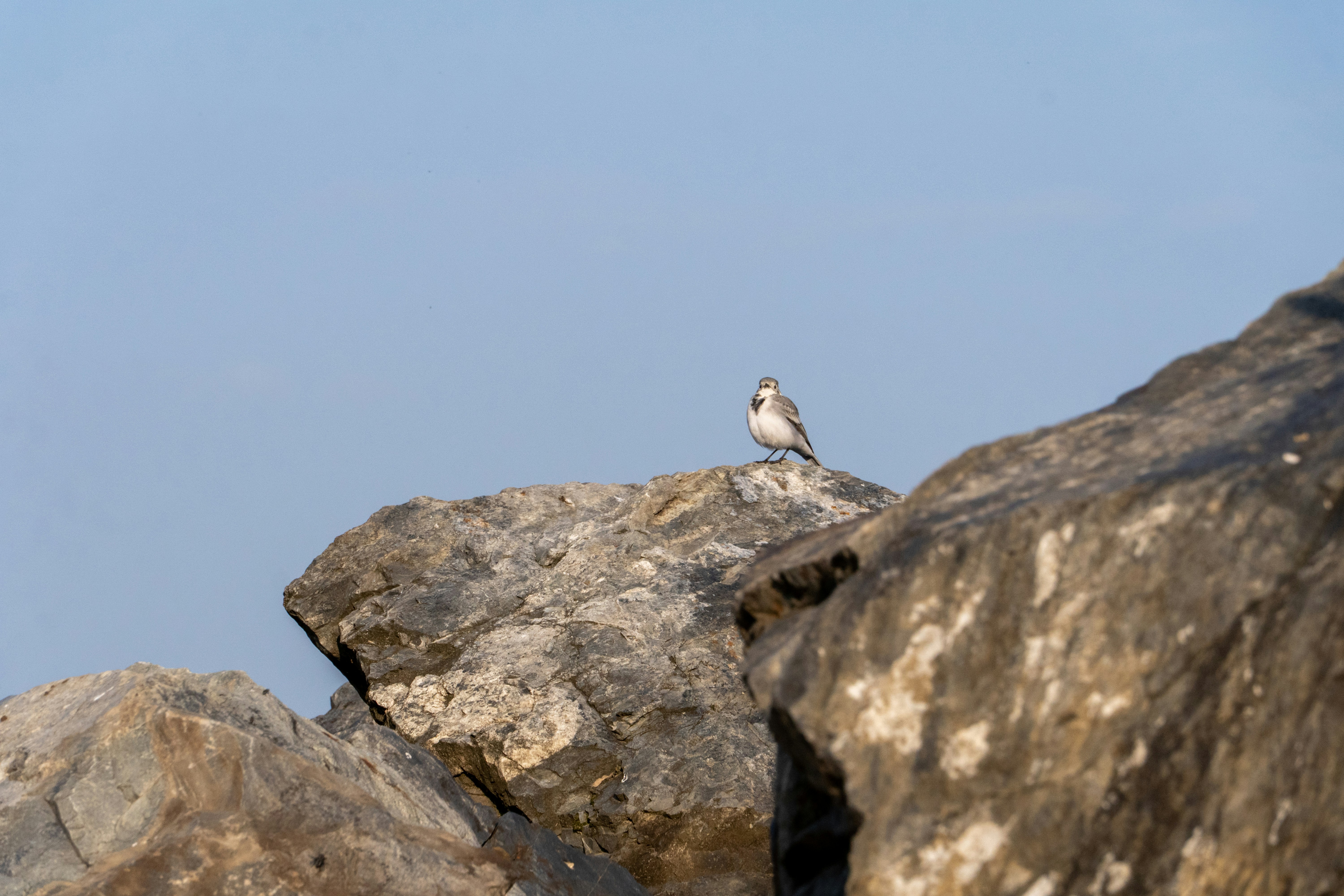 Photo by shabablinchikow