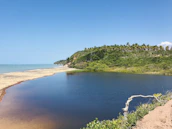 A peaceful coastal view with palm trees and clear blue water, inviting a relaxed lifestyle.