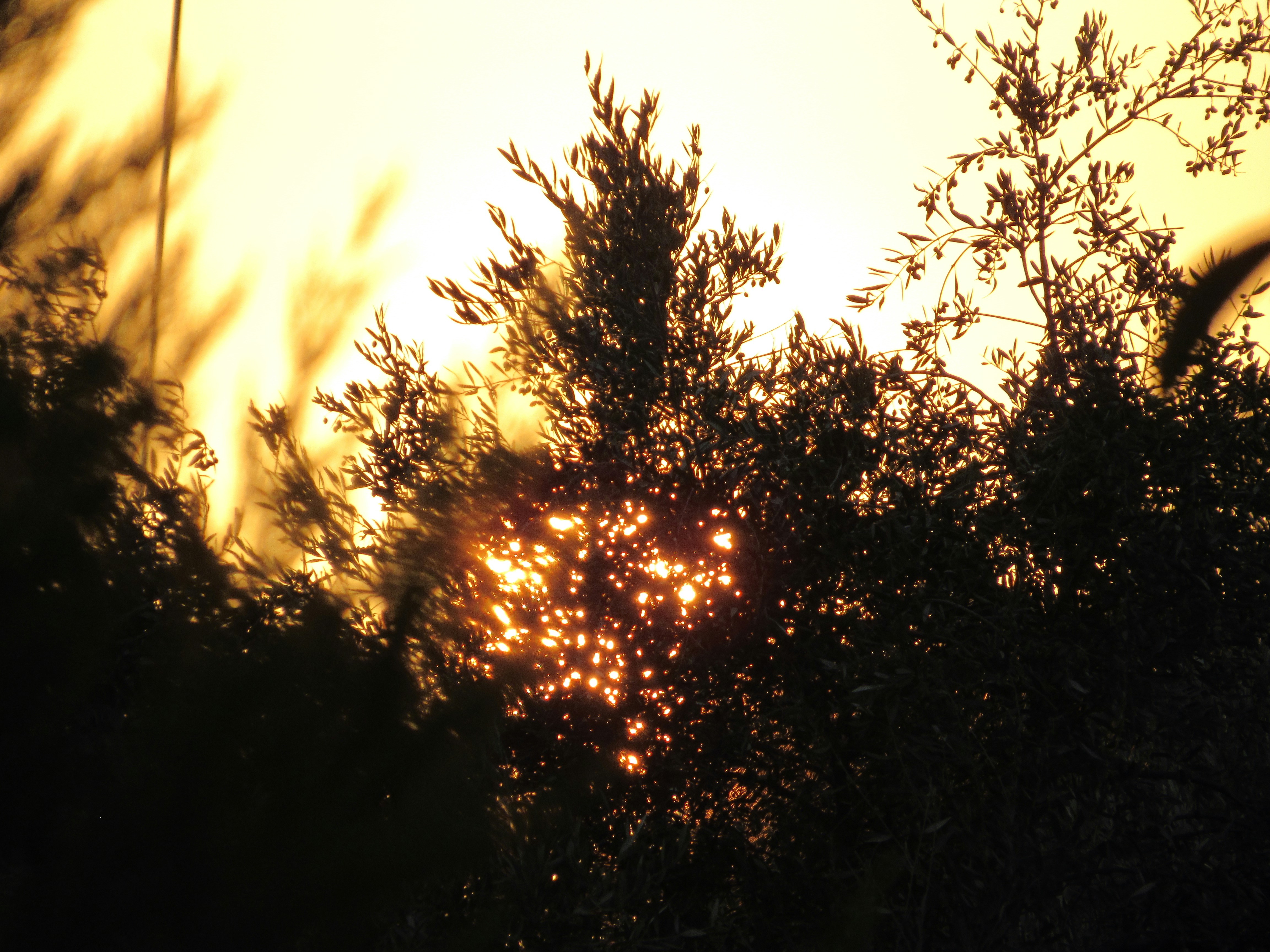 Photo by akirikos