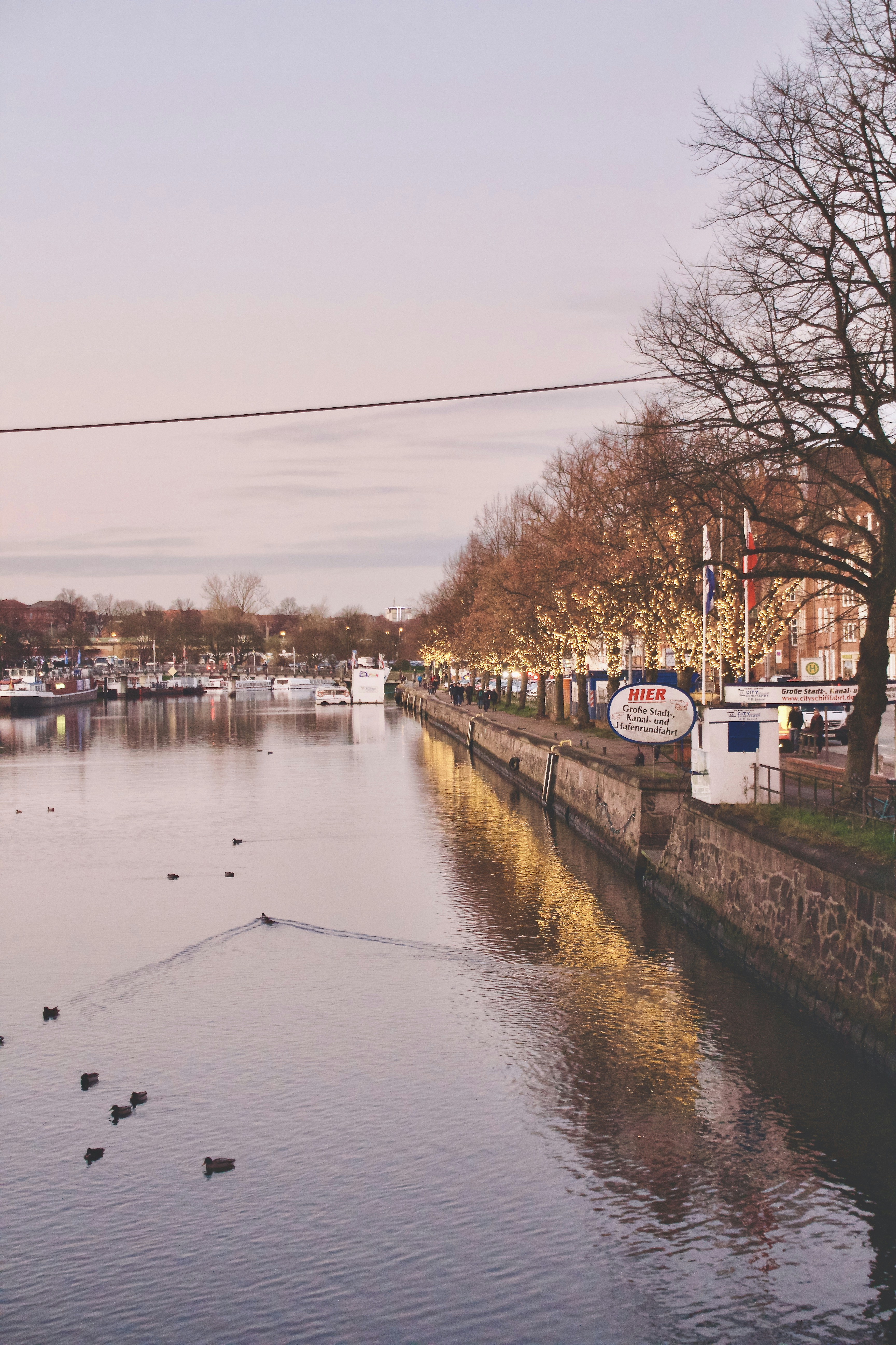 Photo by stockbirken